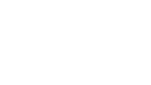 logo nebrija blanco
